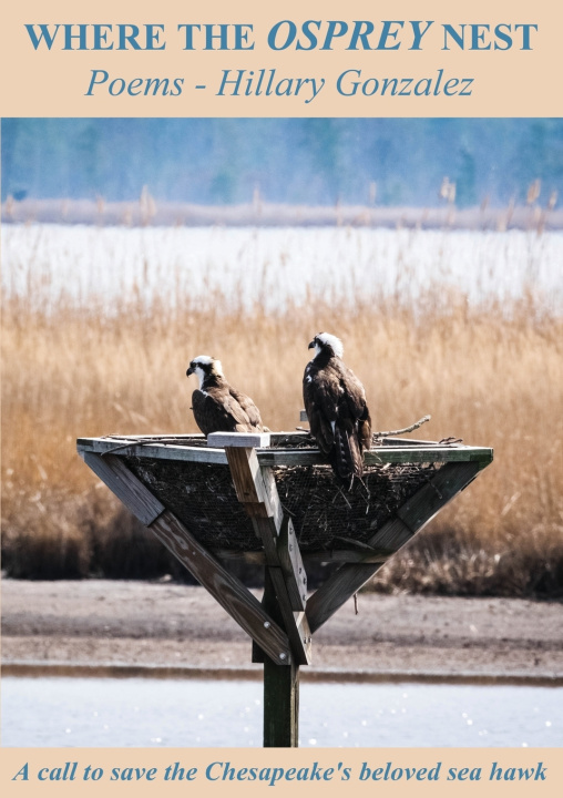 Knjiga Where The Osprey Nest Hillary Gonzalez
