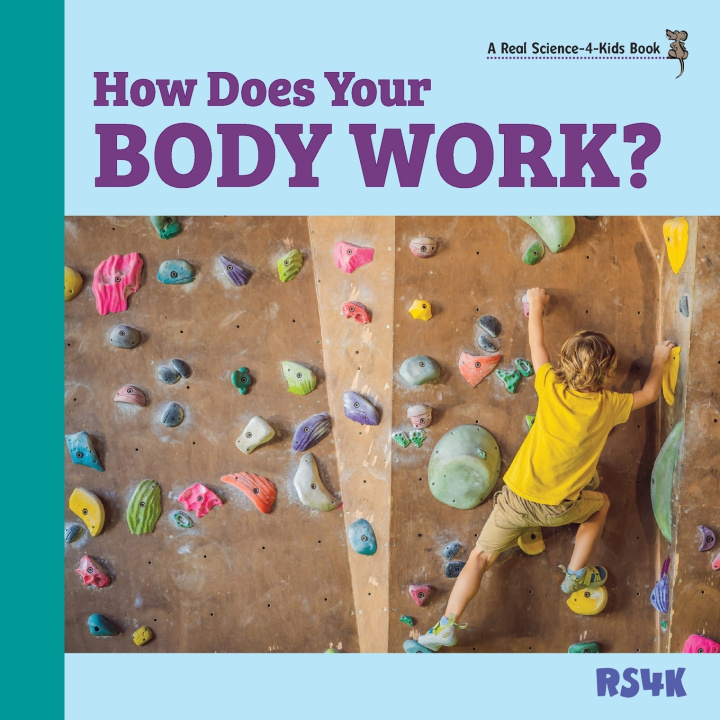 Book How Does Your Body Work? Rebecca Woodbury PhD MEd