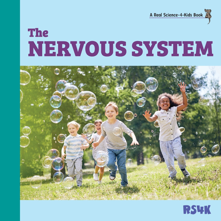 Buch The Nervous System Rebecca Woodbury PhD MEd