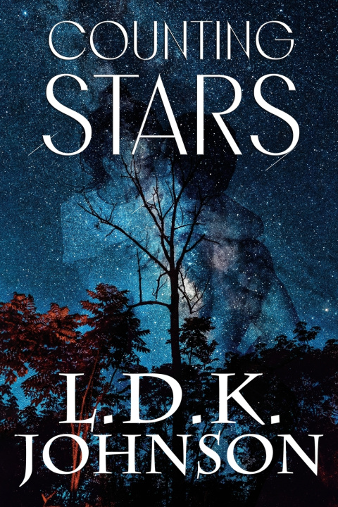 Buch Counting Stars L. D. K. Johnson