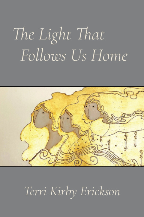 Könyv The Light That Follows Us Home Terri Kirby Erickson