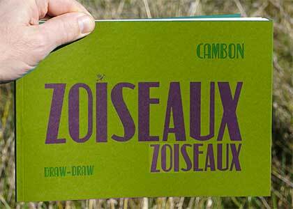 Kniha Zoiseaux-zoiseaux Professor Draw-Draw