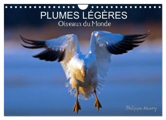 Calendar / Agendă PLUMES LEGERES OISEAUX DU MONDE CALENDRI HENRY PHILIPPE