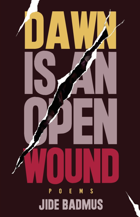 Könyv Dawn is An Open Wound Jide Badmus
