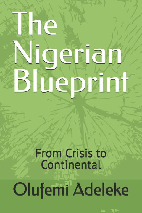 Könyv The Nigerian Blueprint Olufemi Oluwole Adeleke