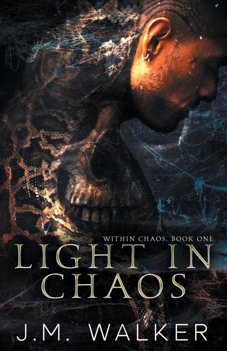 Könyv Light In Chaos J.M. Walker