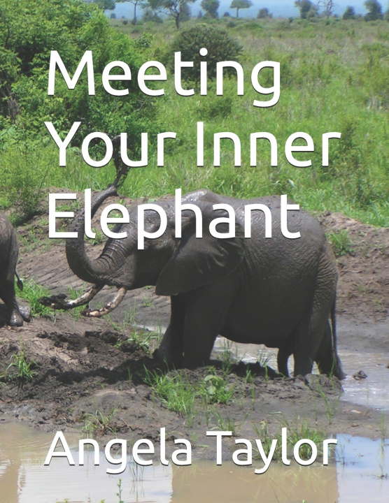Könyv Meeting Your Inner Elephant Angela Taylor