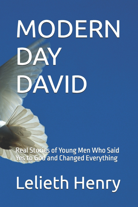 Książka MODERN DAY DAVID Lelieth Henry