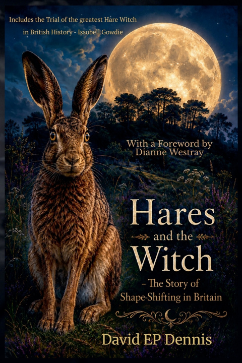 Könyv Hares and the Witch David EP Dennis
