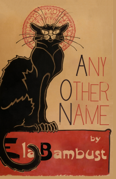 Boek Any Other Name Ela Bambust