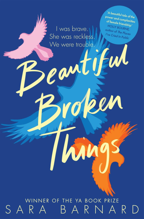 Book Beautiful Broken Things Sara Barnard