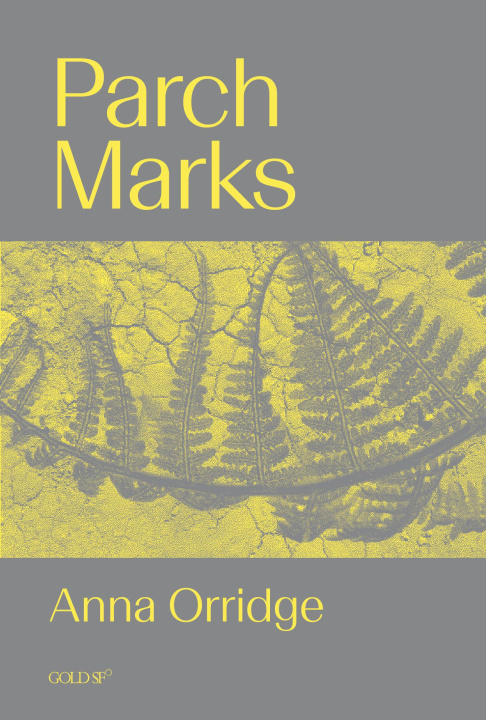E-book Parch Marks Anna Orridge