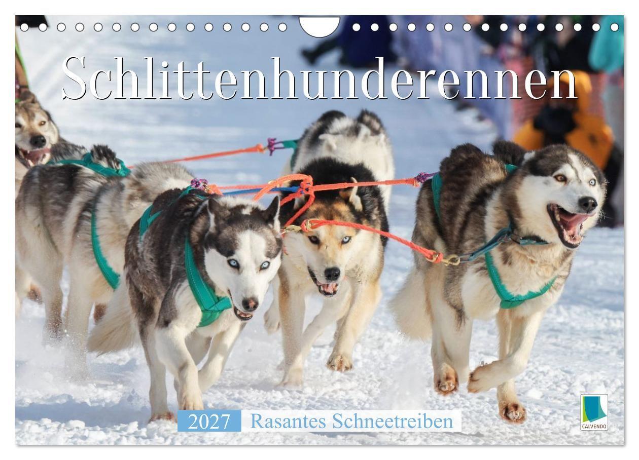 Kalender/agenda Schlittenhunderennen: Rasantes Schneetreiben (Wandkalender 2027 DIN A4 quer), CALVENDO Monatskalender Calvendo