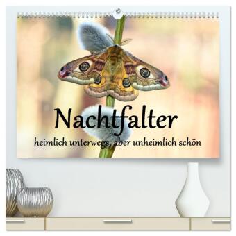 Kalendář/Diář Nachtfalter - heimlich unterwegs, aber unheimlich schön (hochwertiger Premium Wandkalender 2027 DIN A2 quer), Kunstdruck in Hochglanz Calvendo