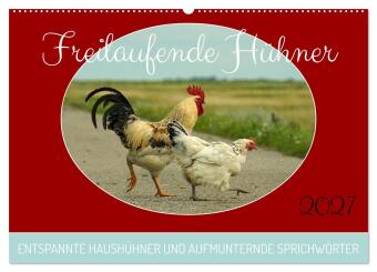 Naptár/Határidőnapló Freilaufende Hühner (Wandkalender 2027 DIN A2 quer), CALVENDO Monatskalender 