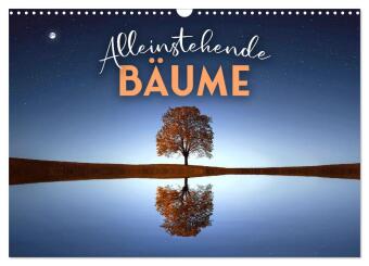 Kalender/Terminbuch Alleinstehende Bäume (Wandkalender 2027 DIN A3 quer), CALVENDO Monatskalender Calvendo