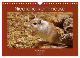 Kalender/Terminbuch Niedliche Rennmäuse (Wandkalender 2027 DIN A4 quer), CALVENDO Monatskalender Calvendo