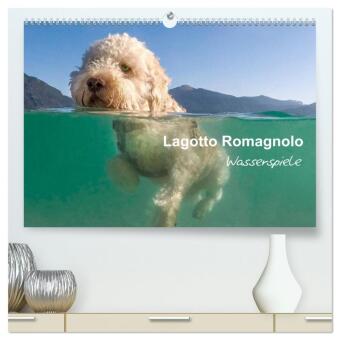 Kalender/Terminbuch Lagotto Romagnolo - Wasserspiele (hochwertiger Premium Wandkalender 2027 DIN A2 quer), Kunstdruck in Hochglanz Calvendo