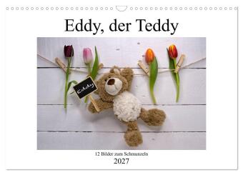 Kalender/Terminbuch Eddy, der Teddy - 12 Bilder zum Schmunzeln (Wandkalender 2027 DIN A3 quer), CALVENDO Monatskalender Calvendo