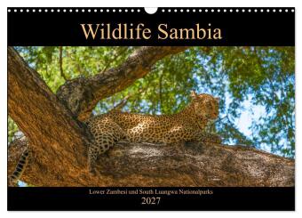 Kalender/agenda Wildlife Sambia (Wandkalender 2027 DIN A3 quer), CALVENDO Monatskalender Calvendo
