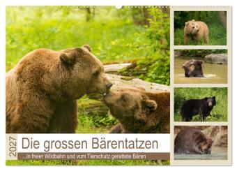 Kalender/Terminbuch Die grossen Bärentatzen (Wandkalender 2027 DIN A2 quer), CALVENDO Monatskalender Calvendo