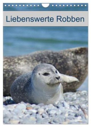 Kalender/agenda Liebenswerte Robben (Wandkalender 2027 DIN A4 hoch), CALVENDO Monatskalender Calvendo