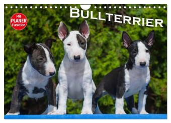 Kalender/Terminbuch Bullterrier (Wandkalender 2027 DIN A4 quer), CALVENDO Monatskalender Calvendo