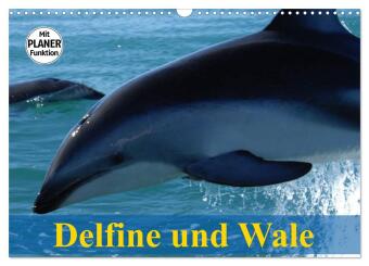 Kalender/agenda Delfine und Wale (Wandkalender 2027 DIN A3 quer), CALVENDO Monatskalender Calvendo