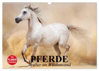 Kalendář/Diář Pferde. Araber im Wüstensand (Wandkalender 2027 DIN A3 quer), CALVENDO Monatskalender Calvendo