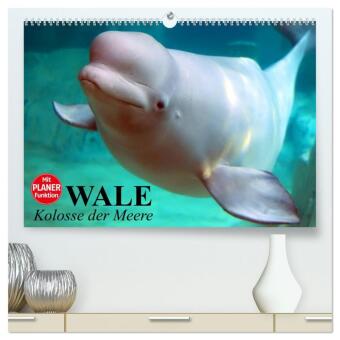 Kalendář/Diář Wale. Kolosse der Meere (hochwertiger Premium Wandkalender 2027 DIN A2 quer), Kunstdruck in Hochglanz Calvendo