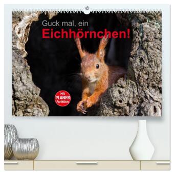 Kalender/agenda Guck mal, ein Eichhörnchen! (hochwertiger Premium Wandkalender 2027 DIN A2 quer), Kunstdruck in Hochglanz Calvendo