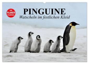Kalender/Terminbuch Pinguine - Watscheln im festlichen Kleid (Wandkalender 2027 DIN A2 quer), CALVENDO Monatskalender Calvendo
