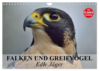 Kalender/Terminbuch Falken und Greifvögel - Edle Jäger (Wandkalender 2027 DIN A4 quer), CALVENDO Monatskalender Calvendo