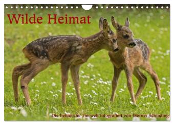Kalender/Terminbuch Wilde Heimat (Wandkalender 2027 DIN A4 quer), CALVENDO Monatskalender Calvendo