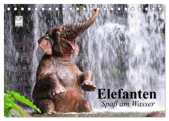 Kalender/Terminbuch Elefanten. Spaß am Wasser (Tischkalender 2027 DIN A5 quer), CALVENDO Monatskalender Calvendo