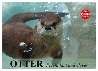 Kalendár/Diár Otter. Frech, laut und clever (Wandkalender 2027 DIN A2 quer), CALVENDO Monatskalender Calvendo