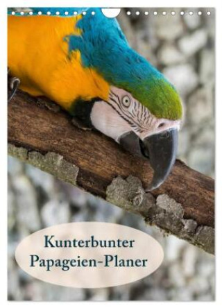 Kalendář/Diář Kunterbunter Papageien-Planer (Wandkalender 2027 DIN A4 hoch), CALVENDO Monatskalender Calvendo