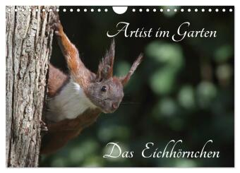 Kalendář/Diář Artist im Garten. Das Eichhörnchen (Wandkalender 2027 DIN A4 quer), CALVENDO Monatskalender Calvendo