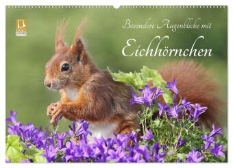 Kalender/Terminbuch Besondere Augenblicke mit Eichhörnchen (Wandkalender 2027 DIN A2 quer), CALVENDO Monatskalender Calvendo