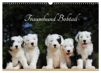 Kalender/agenda Traumhund Bobtail (Wandkalender 2027 DIN A3 quer), CALVENDO Monatskalender Calvendo