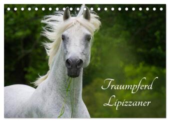 Kalender/agenda Traumpferd Lipizzaner (Tischkalender 2027 DIN A5 quer), CALVENDO Monatskalender Calvendo