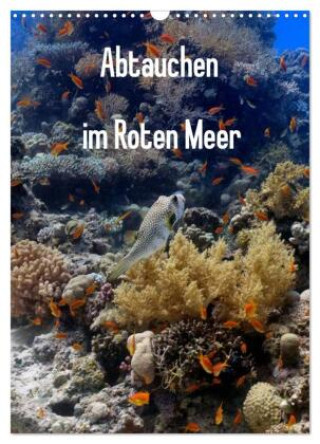 Kalender/Terminbuch Abtauchen im Roten Meer (Wandkalender 2027 DIN A3 hoch), CALVENDO Monatskalender Calvendo