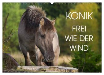 Kalender/agenda Konik - Frei geboren (Wandkalender 2027 DIN A2 quer), CALVENDO Monatskalender Calvendo