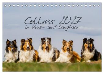 Kalender/Terminbuch Collies 2027 in Kurz- und Langhaar (Tischkalender 2027 DIN A5 quer), CALVENDO Monatskalender Calvendo