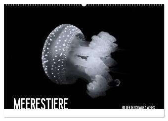 Kalendář/Diář Meerestiere Bilder in Schwarz Weiss (Wandkalender 2027 DIN A2 quer), CALVENDO Monatskalender Calvendo