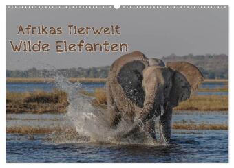 Kalender/Terminbuch Afrikas Tierwelt - Wilde Elefanten (Wandkalender 2027 DIN A2 quer), CALVENDO Monatskalender Calvendo