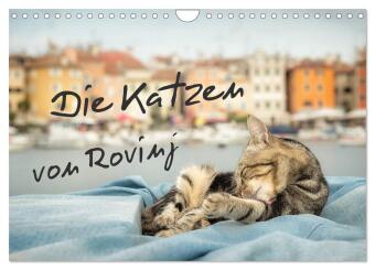 Kalender/agenda Die Katzen von Rovinj (Wandkalender 2027 DIN A4 quer), CALVENDO Monatskalender Calvendo