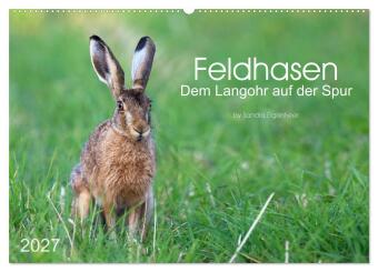 Kalendár/Diár Feldhasen - dem Langohr auf der Spur (Wandkalender 2027 DIN A2 quer), CALVENDO Monatskalender Calvendo