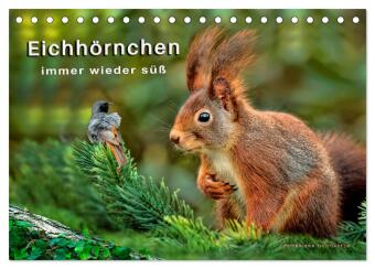 Kalender/Terminbuch Eichhörnchen - immer wieder süß (Tischkalender 2027 DIN A5 quer), CALVENDO Monatskalender Calvendo