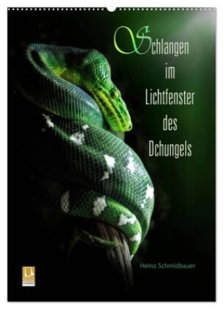 Kalender/Terminbuch Schlangen im Lichtfenster des Dschungels (Wandkalender 2027 DIN A2 hoch), CALVENDO Monatskalender Calvendo